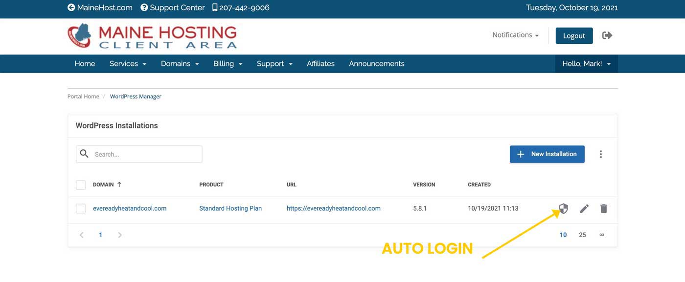 wp auto login